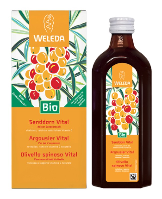 OLIVELLO SPINOSO VITAL SUCCO OLIVELLO SPINOSO VITAL SUCCO