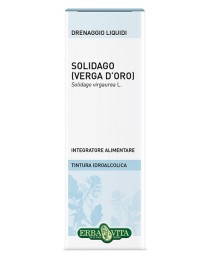 SOLIDAGO SI 50ML EVI