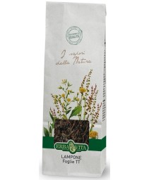 LAMPONE FOGLIE TT 100G