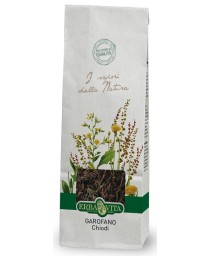 GAROFANO CHIODI 100G GAROFANO CHIODI 100G