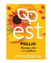 PSILLIO ES 60TAV EST