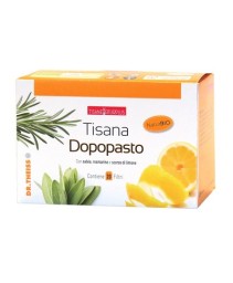 DR THEISS TISANA DOPOPASTO 20FLT