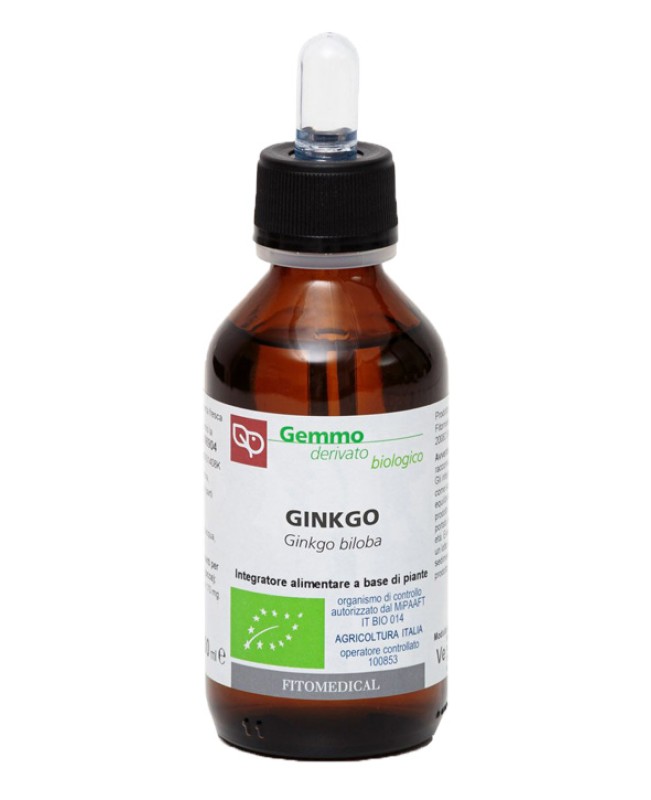 GINKGO BILOBA GD 100ML BIO GINKGO BILOBA GD 100ML BIO