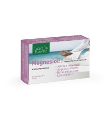 LIGNE MG B6+ACHIL+ANG+PAST+LAM LIGNE MG B6+ACHIL+ANG+PAST+LAM