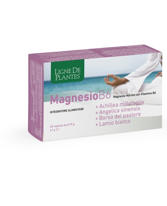 LIGNE MG B6+ACHIL+ANG+PAST+LAM