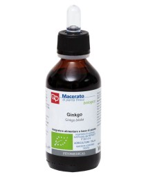 GINKGO BILOBA MI 100ML BIO
