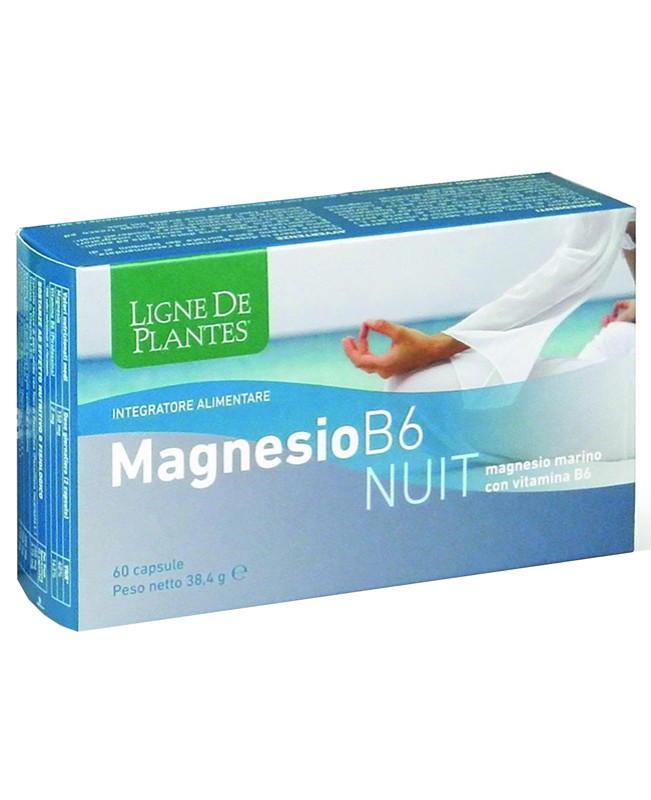 MAGNESIO B6 NUIT 60CPS MAGNESIO B6 NUIT 60CPS