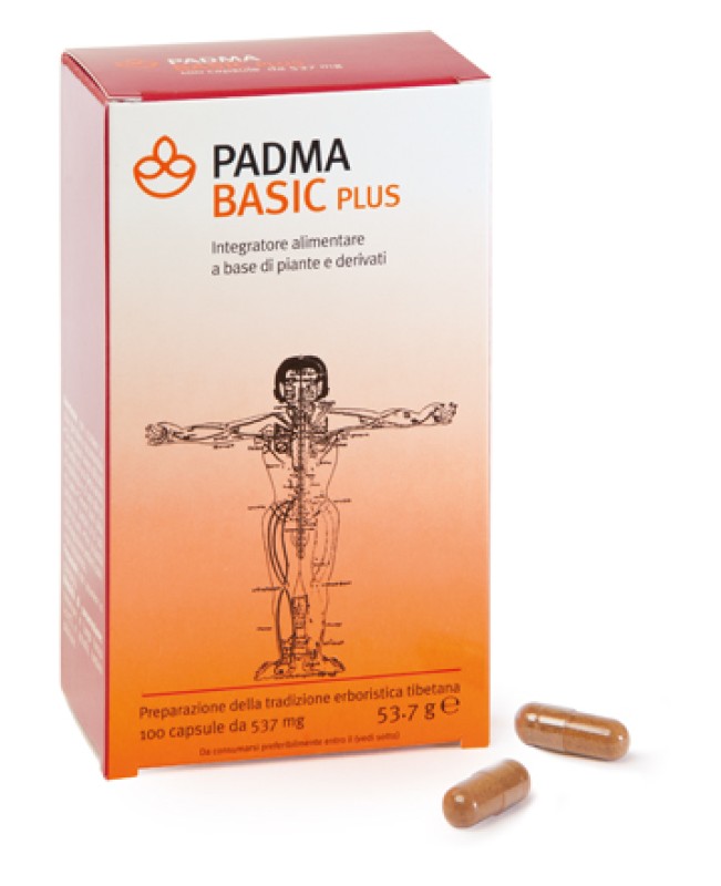 PADMA BASIC PLUS 100CPS PADMA BASIC PLUS 100CPS