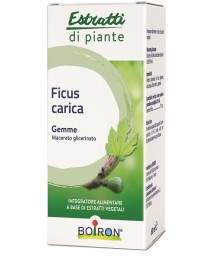 FICUS CARICA MG 60ML NF