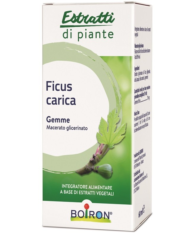 FICUS CARICA MG 60ML NF FICUS CARICA MG 60ML NF