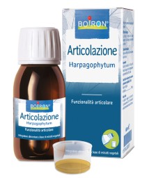 HARPAGOPHYTUM EI 60ML NF