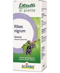 RIBES NIGRUM BOI MG 60ML INT