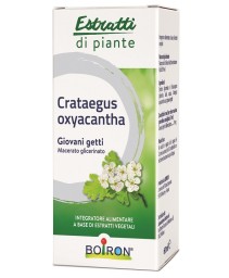 CRATAEGUS OXYACANTHA MG 60ML NF