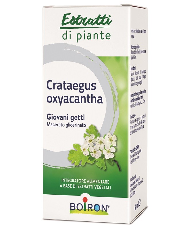 CRATAEGUS OXYACANTHA MG 60ML NF CRATAEGUS OXYACANTHA MG 60ML NF
