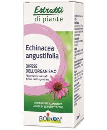 ECHINACEA ANG BOI EI 60ML INT