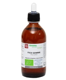 FICO GEMME GD 200ML BIO
