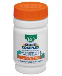 MULTI COMPLEX*JUNIOR 42 DINOSAURI
