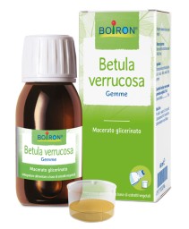BETULA VERRUCO MG 60ML INT
