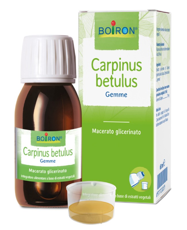CARPINUS BETULUS MG 60ML INT CARPINUS BETULUS MG 60ML INT
