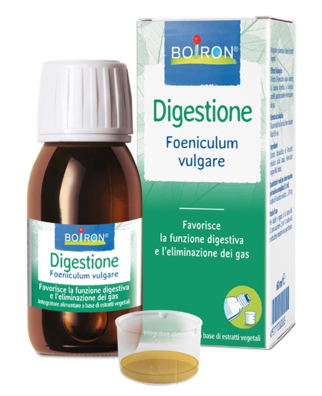 FOENICULUM VULGARE EI 60ML INT FOENICULUM VULGARE EI 60ML INT
