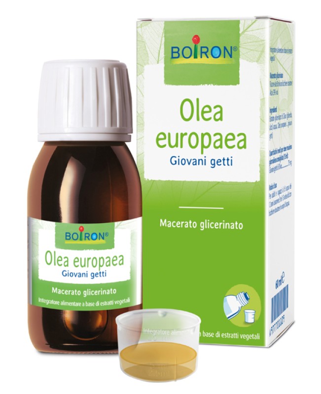 OLEA EUROPAEA MG 60ML INT OLEA EUROPAEA MG 60ML INT