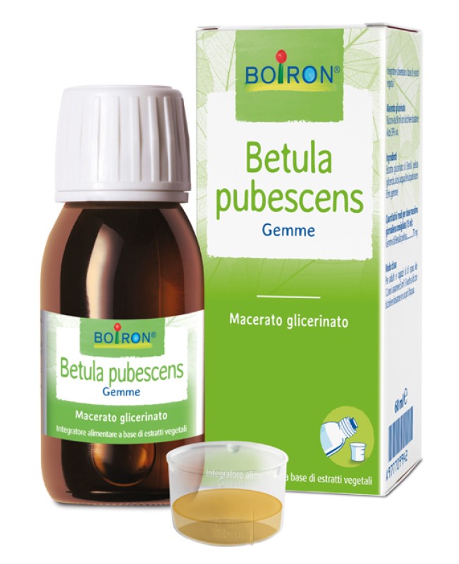 BETULA PUBESCENS MG 60ML INT BETULA PUBESCENS MG 60ML INT