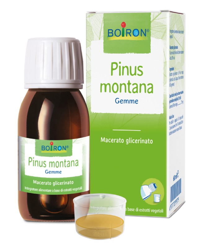 PINUS MONTANA MG 60ML INT PINUS MONTANA MG 60ML INT