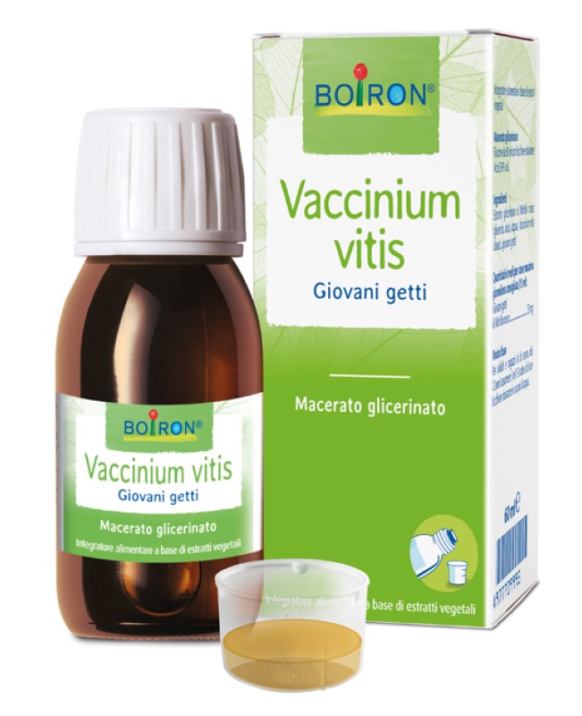 VACCINIUM VITIS MG 60ML INT