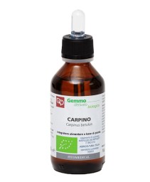 CARPINO GD 100ML BIO