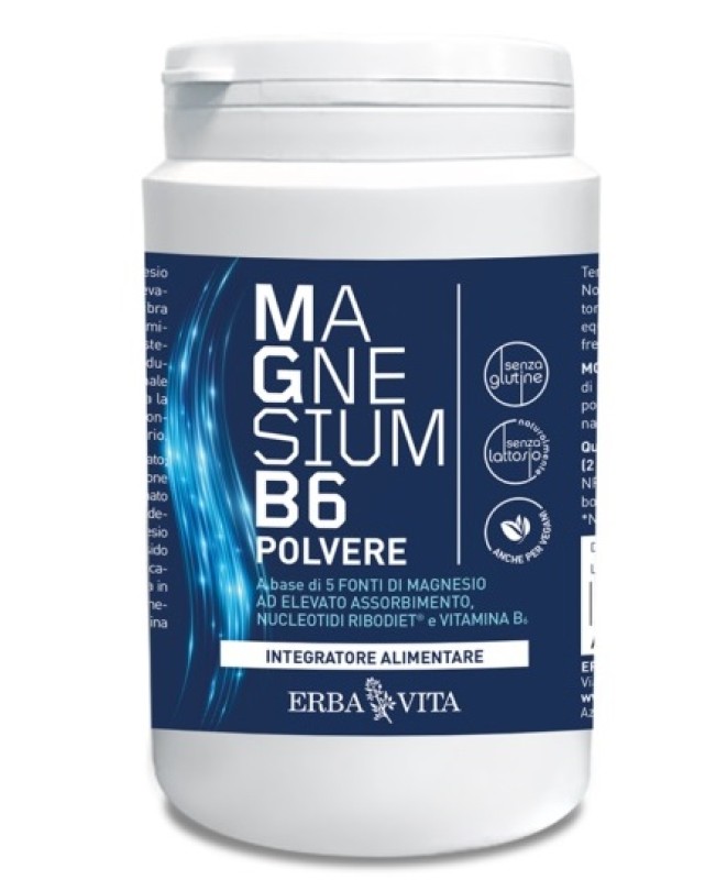 MAGNESIUM B6 POLV 200G MAGNESIUM B6 POLV 200G