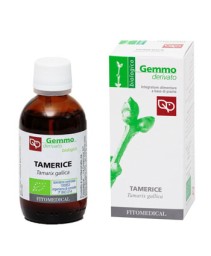 TAMERICE MG 50ML BIO
