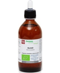 OLIVO GD 200ML BIO