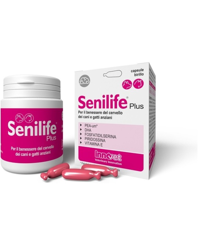 SENILIFE PLUS 60CPS