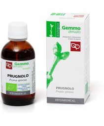 PRUGNOLO GD  50ML BIO
