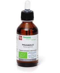 PRUGNOLO GD 100ML BIO
