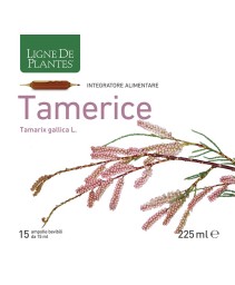 TAMERICE 15AMPOLLE