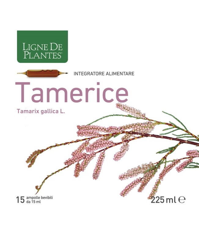 TAMERICE 15AMPOLLE