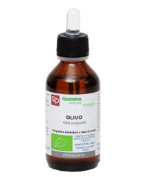 OLIVO GD 100ML BIO