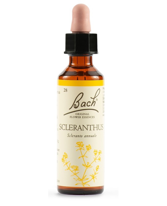 Sclerantus Bach Orig 20ml Sclerantus Bach Orig 20ml
