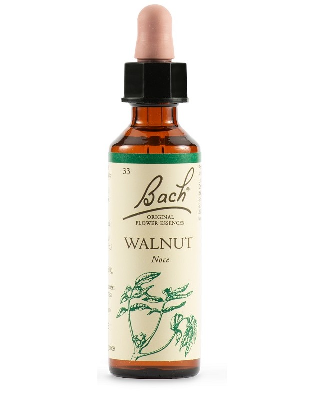 Walnut Bach Orig 20ml