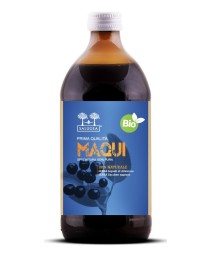 MAQUI BIO SUCCO SALUGEA 500ML