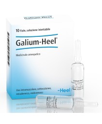 Galium 10f 1,1ml Heel