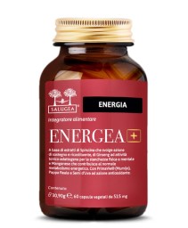 ENERGEA+ 60CPS SALUGEA