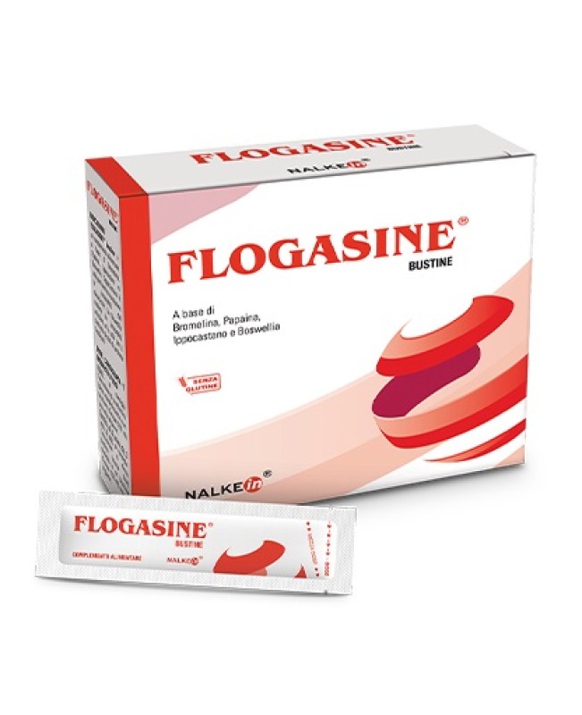 FLOGASINE 20BUST FLOGASINE 20BUST