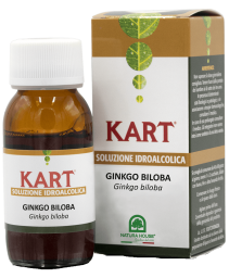GINKGO BILOBA SOL IAL 50ML (NAH)