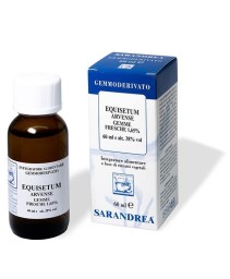 EXTRAGEM EQUISETO GEMME 20ML