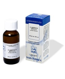 CARPINUS BETULUS MG 100ML
