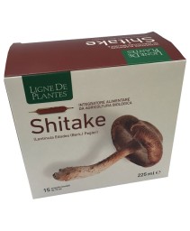 LIGNE SHITAKE BIO 15AMP 15ML LIGNE SHITAKE BIO 15AMP 15ML