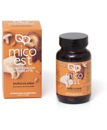 AURICULARIA ES 60 TAVOLETTE