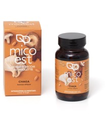 CHAGA ES 60TAV